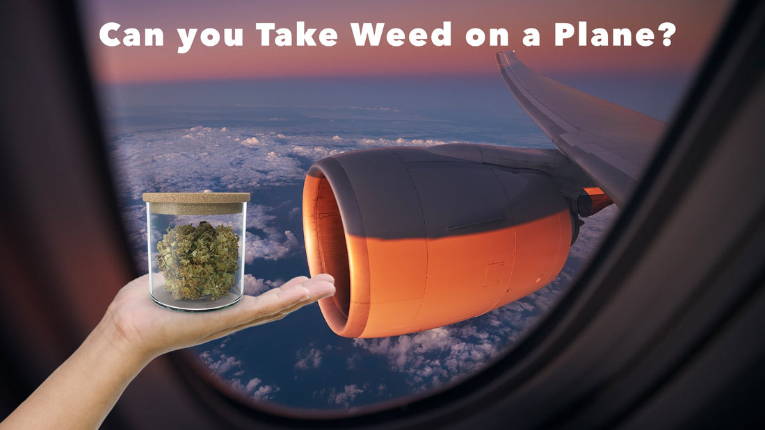 can you take weed on a plane