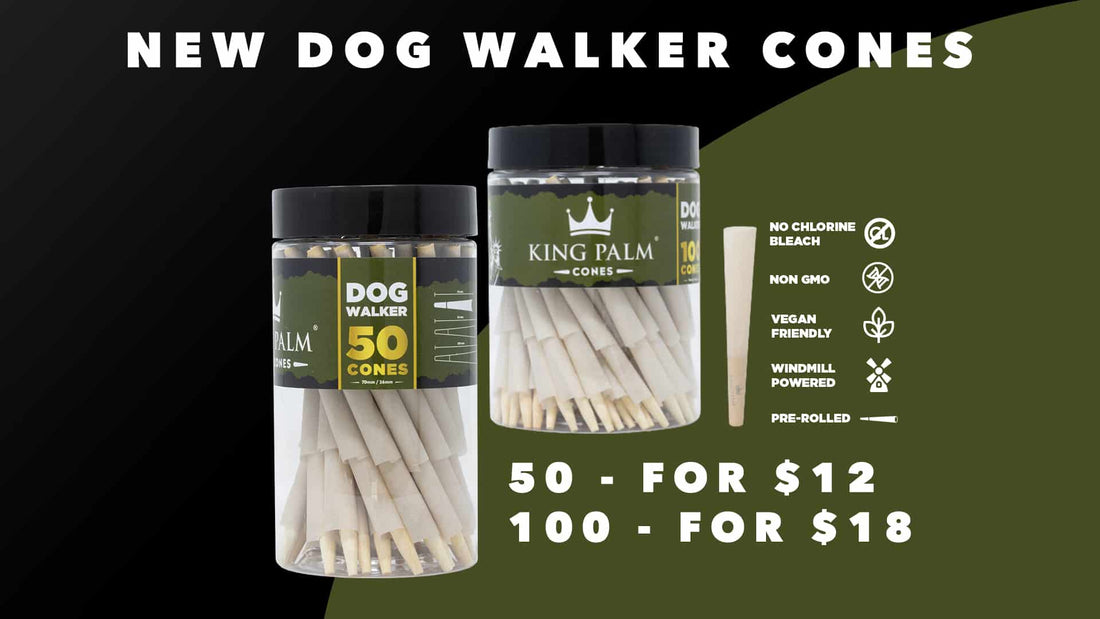 dog walker cones for sale