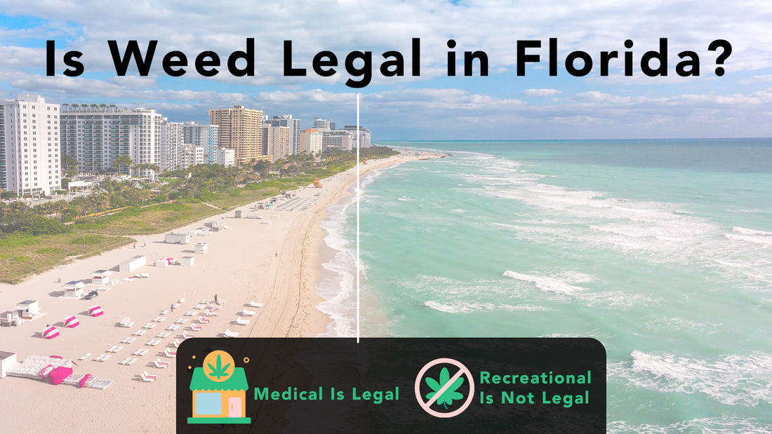 is weed legal in Florida right now 2023