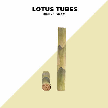 Single Lotus Tubes - 3 Sizes Available