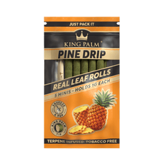 5 Mini Rolls - Pine Drip