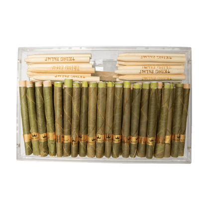 100 Mini Rolls Humidor - Variety Flavors