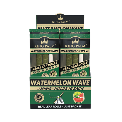 2 Mini Rolls - Watermelon Wave - Display Box - 20 Units Per Display