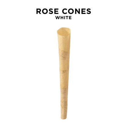 Single Rose Cones - King Size